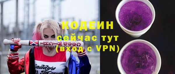 гидра Бородино