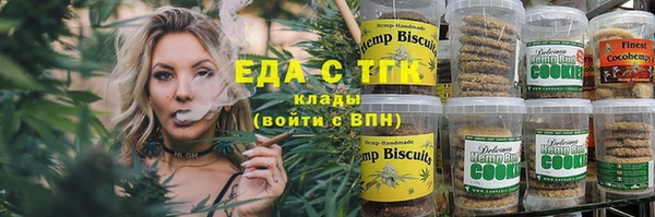 гидра Бородино