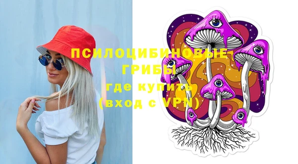 мдпв Бугульма