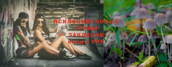 мдпв Бугульма