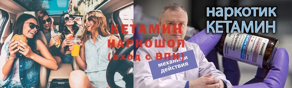 гидра Бородино