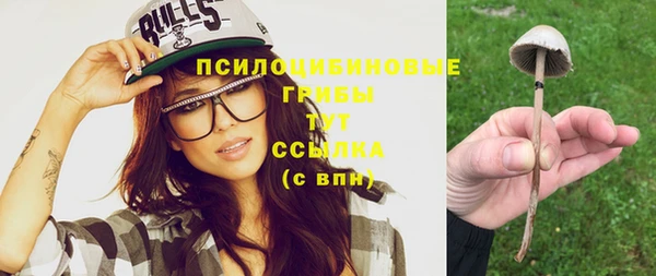гидра Бородино