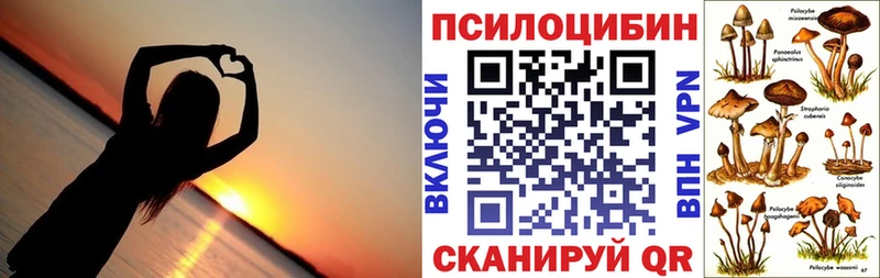 Галлюциногенные грибы Psilocybine cubensis  магазин продажи наркотиков  Усмань 